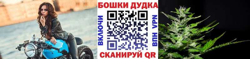 МАРИХУАНА сатива  Купить закладки  Учалы 